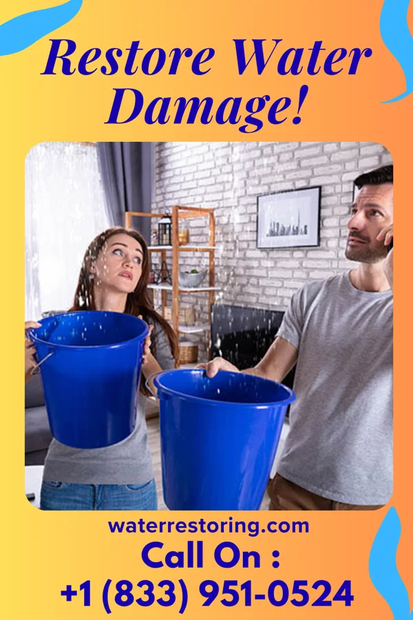 water restoration Royal Damage Recovery Ossun