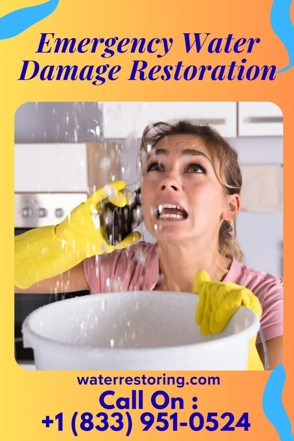 Emergency Water Damage Restoration in Ossun, LA
